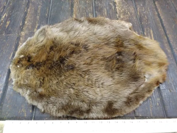 Soft Tanned Beaver Fur Pelt, D Six 101