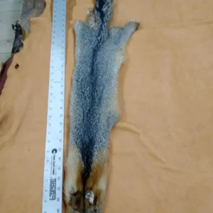 A long animal carcass