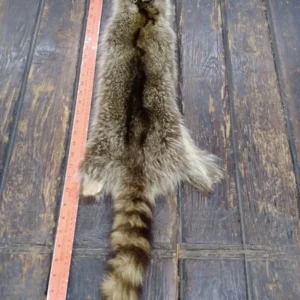 Racoon Fur Hide, Measures Five by Thirty Three Inches