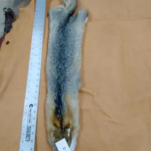 A furry animal carcass