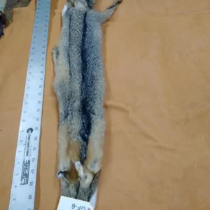 An animal carcass with a printed tag
