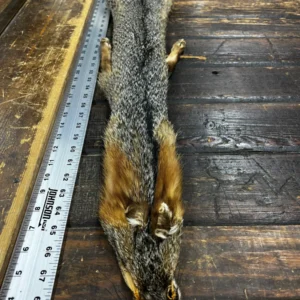 An animal carcass on a wooden floor