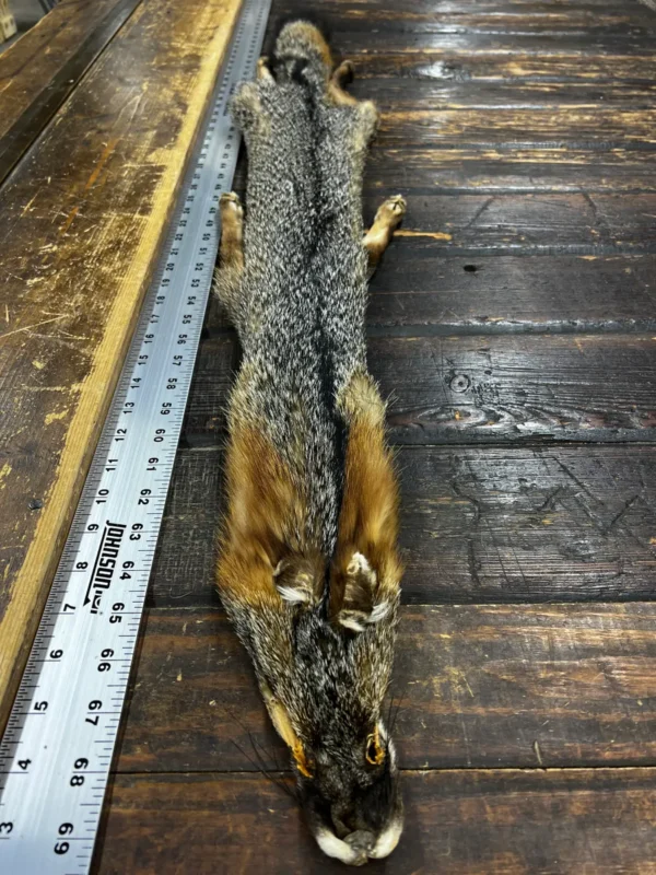 An animal carcass on a wooden floor