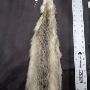 Nicely Tanned Tubed Hide Opossum Two, Pelts Collection