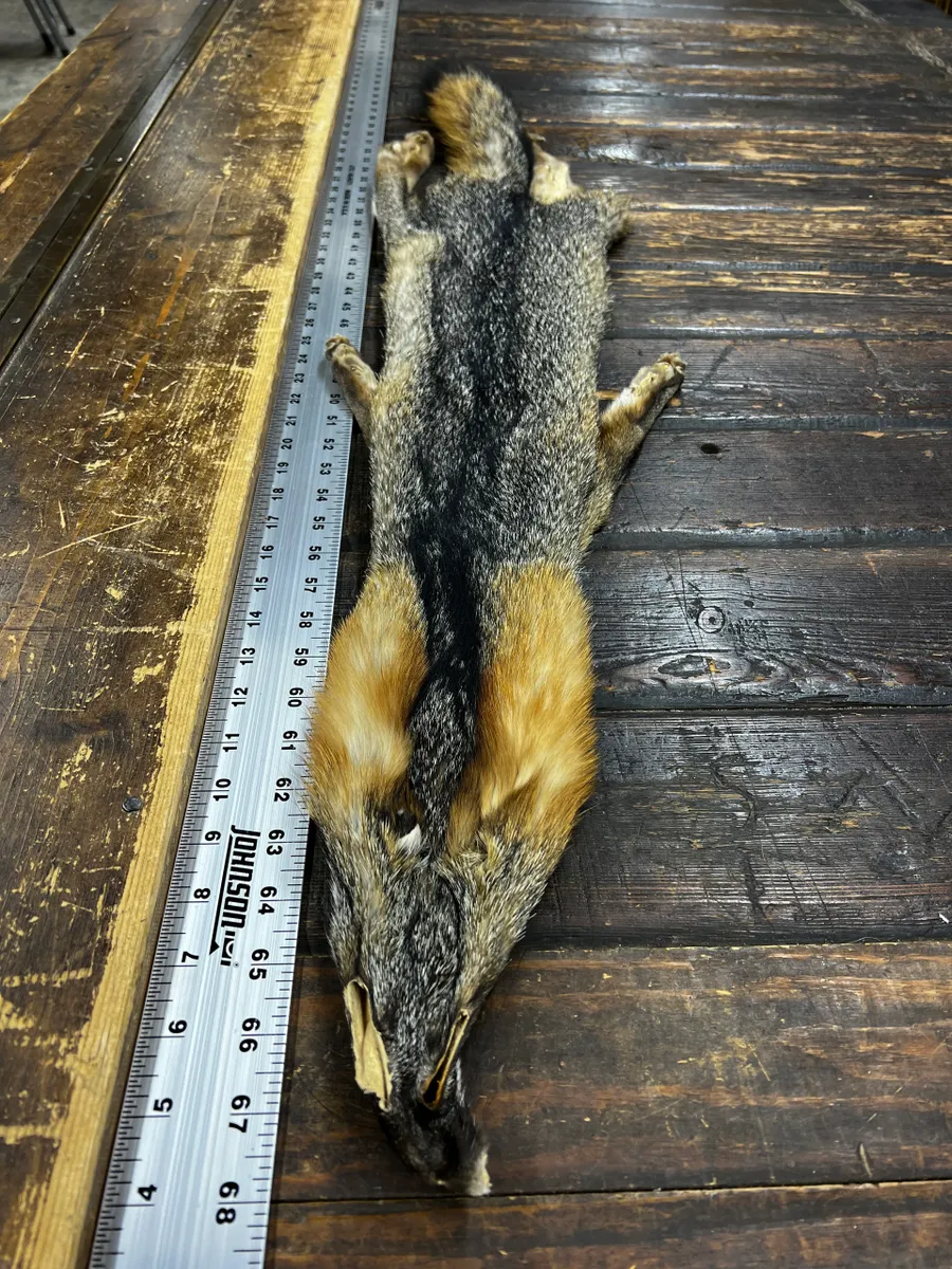 A long and furry animal carcass