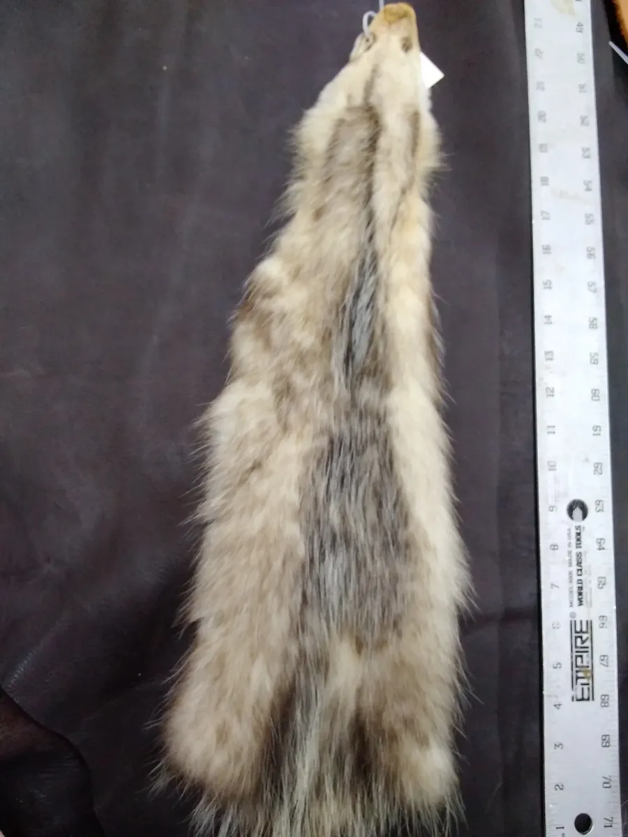 Nicely Tanned Tubed Hide Opossum Three, Pelts Collection