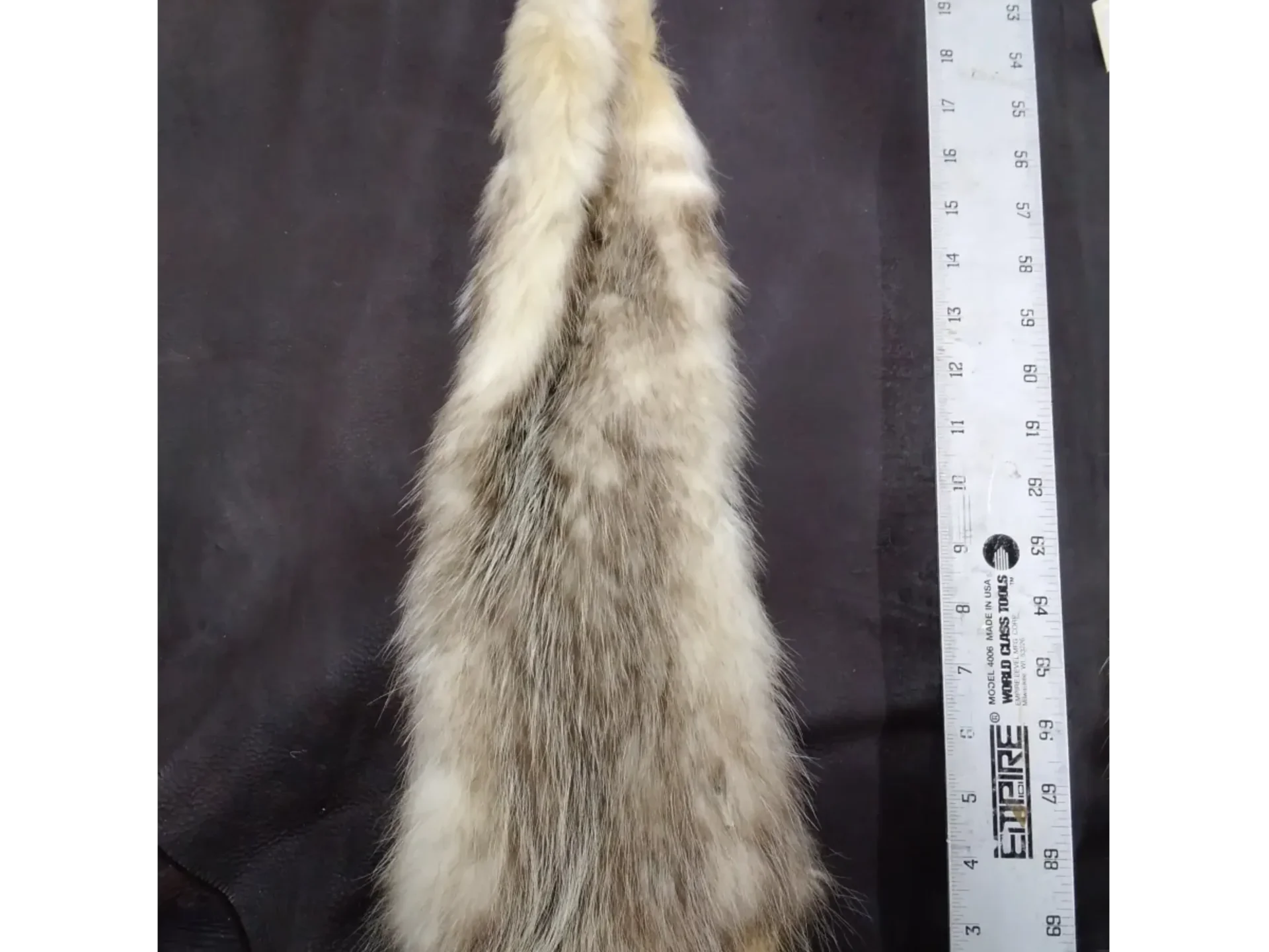 Nicely Tanned Tubed Hide Opossum Five, Pelts Collection
