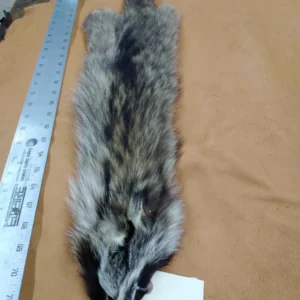 Racoon Fur Hide, Measures Seven by Thirty Two Inches