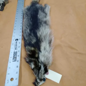 Racoon Fur Hide, Measures Six by Thirty Inches