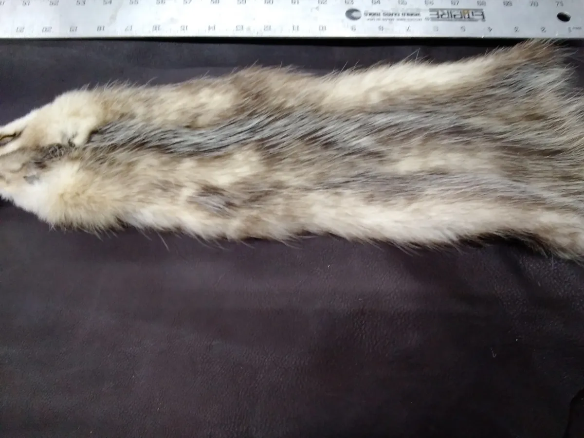 Nicely Tanned Tubed Hide Opossum Six, Pelts Collection