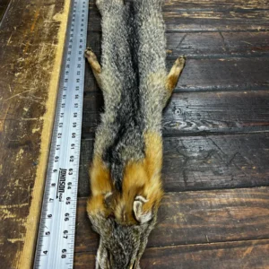 An animal carcass on the floor