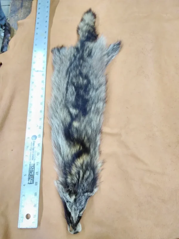 Racoon Fur Hide, Measures Six by Twenty Nine Inches