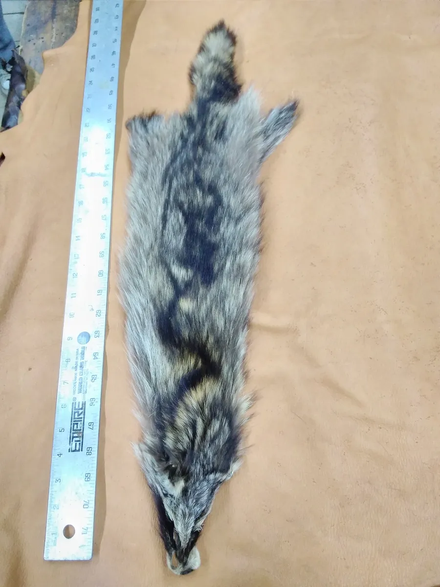 Racoon Fur Hide, Measures Six by Twenty Nine Inches