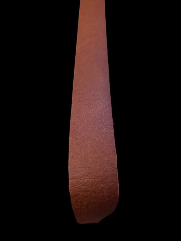 DPAO4727 Brown leather strip on black background.