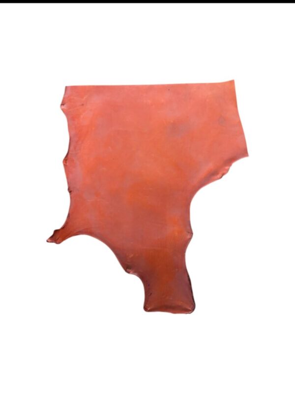 EYBS1868 Brown leather piece on white background.