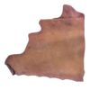 GWAL2834 Brown leather hide on white background.