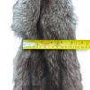 Racoon Hide 1