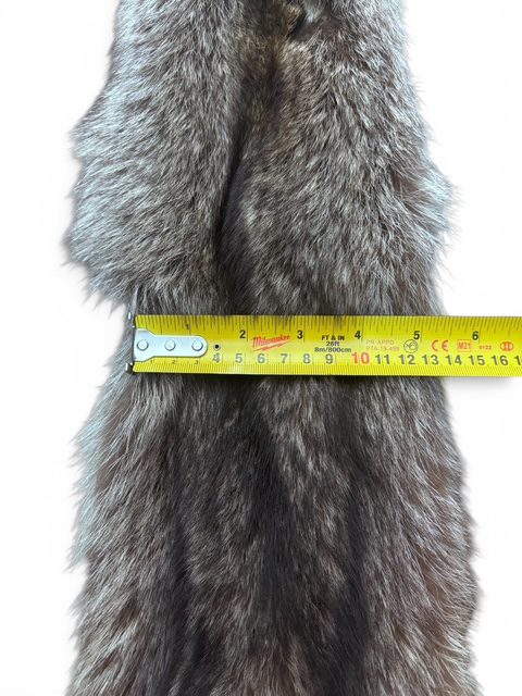 Racoon Hide 1