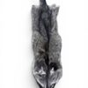 Racoon Hide 1