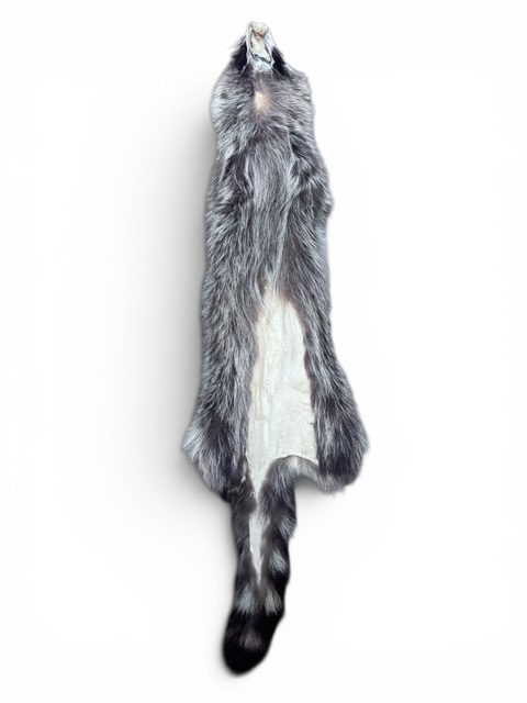Racoon Hide 1