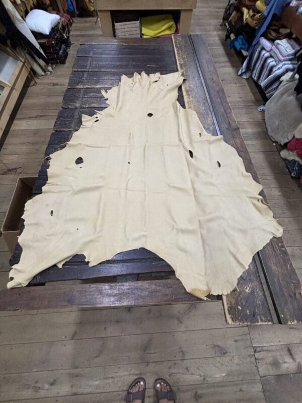 IMG_2884 Tan leather hide on wooden table.