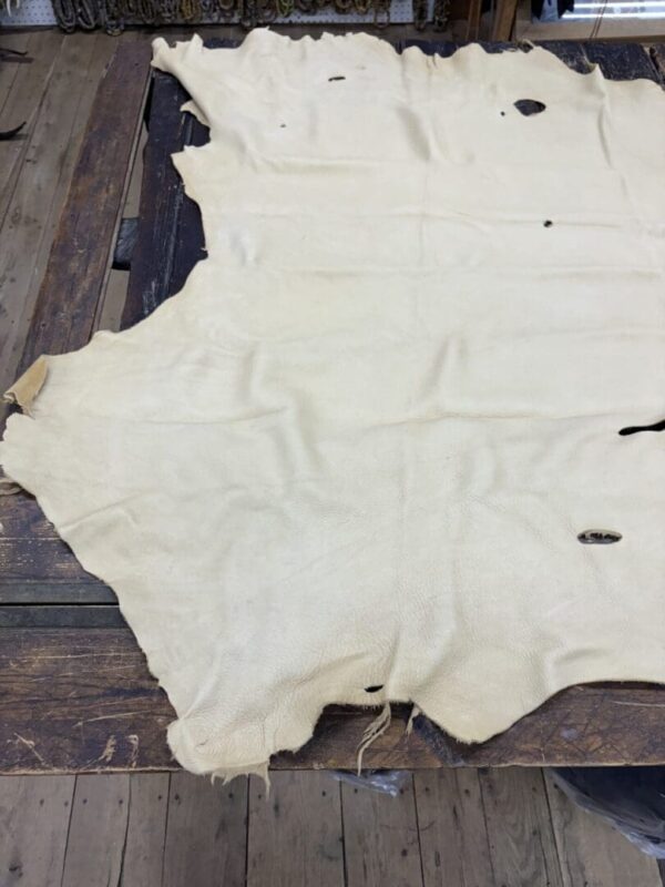 IMG_2885 Large, white animal hide on table.