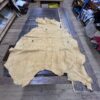IMG_2887 Large tan deerskin hide on table.