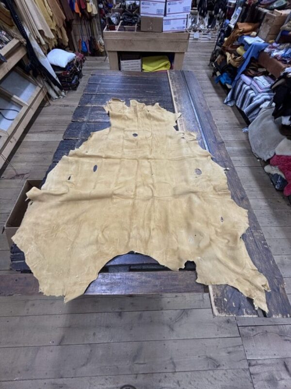 IMG_2887 Large tan deerskin hide on table.