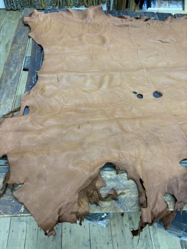 Brown leather hide with uneven edges.