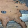 Brown leather hide with holes.