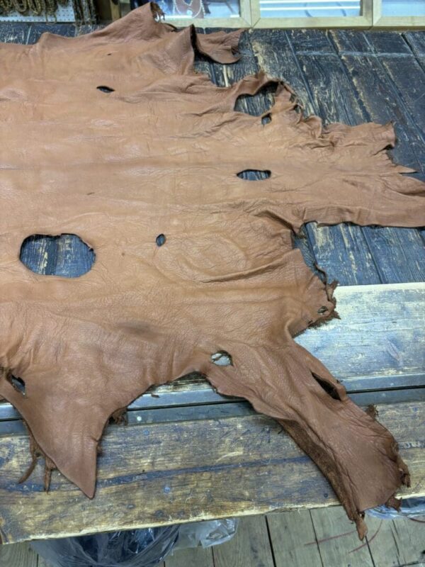 Brown leather hide with holes.