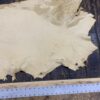 Leather hide on table with measuring ruler.