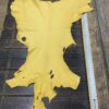 IMG_4795 Yellow leather hide on wooden surface.