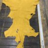 IMG_4800 Yellow leather hide with holes on table.