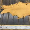 Tanned leather hide on wooden surface.