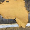 Leather hide on wooden table with ruler.