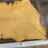 IMG_4861 Leather hide on wooden table with ruler.