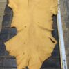 Tanned animal hide on wooden surface.