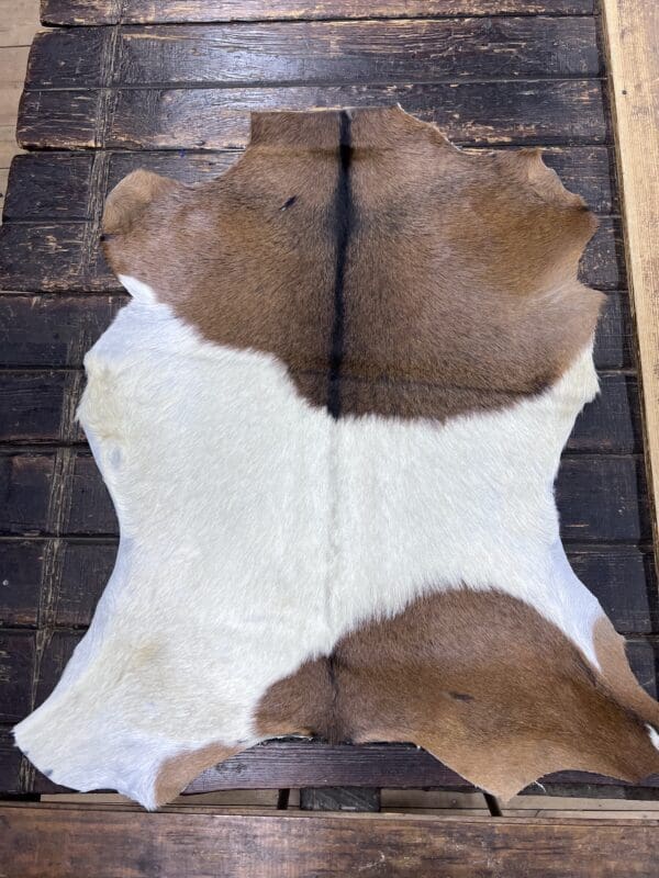 Hair on Goat Hide, S1 to 280, Add to Cart