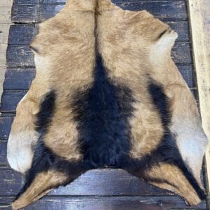 Hair on Goat Hide, S1 to 284, Add to Cart