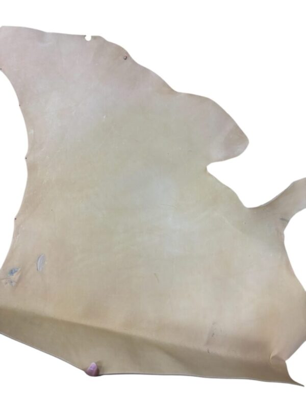 MHQR2497 Leather hide on a white background.