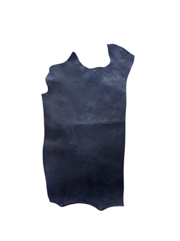 SXAI5404 Dark blue leather hide on white background.