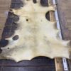Luxuriously Soft and Plush White Sheepskin Rug
