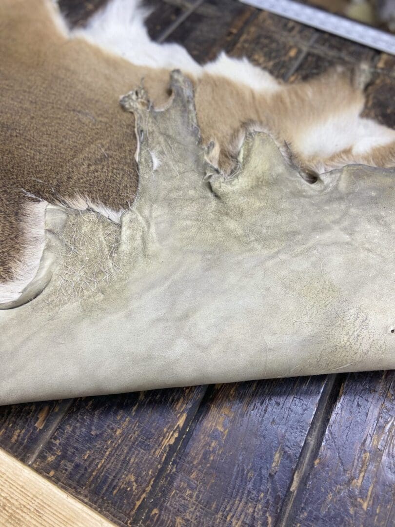 Deerskin oil tan deer hide/ 2-3 oz./ Shelf#7T - Kentucky Leather and Hides