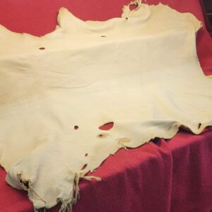 Animal hide displayed on red fabric.