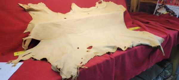 Animal hide displayed on red fabric.