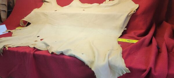 Tanned leather hide on red fabric background.