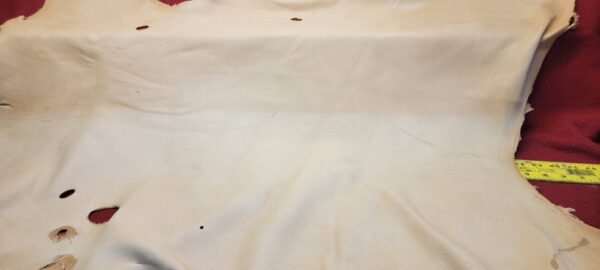 Tan leather hide with visible holes.