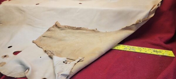Leather hide with measuring tape on fabric.