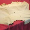 Tanned animal hide on red cloth display.